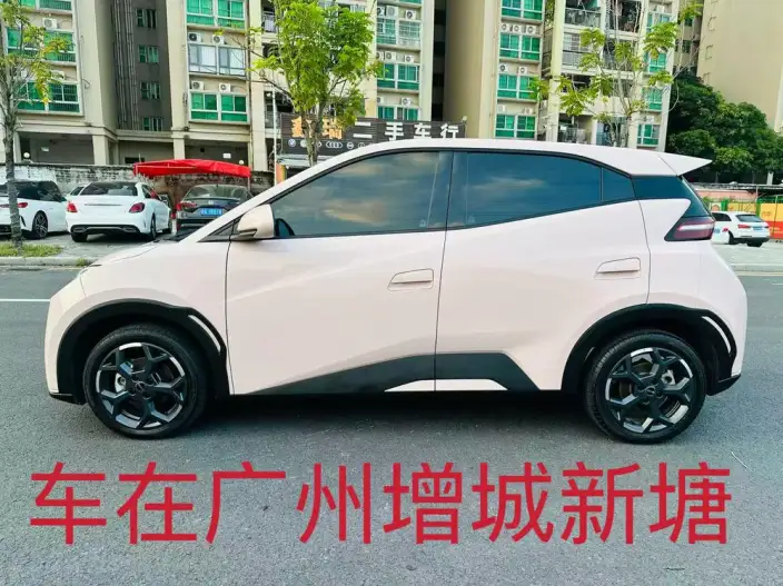 BYD Seagull 2024 Model Honor Edition 305KM Vitality Edition – фото 3