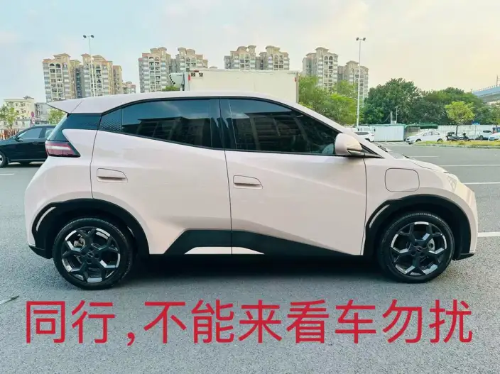 BYD Seagull 2024 Model Honor Edition 305KM Vitality Edition – фото 6