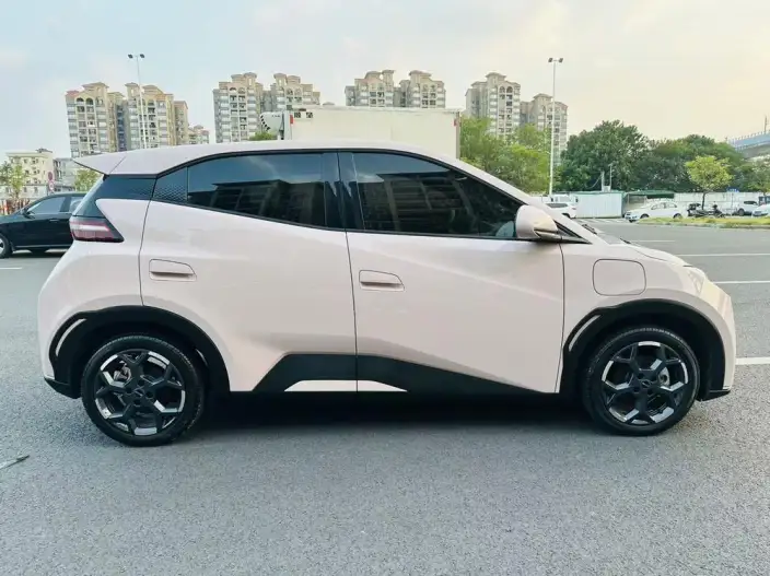 BYD Seagull 2024 Model Honor Edition 305KM Vitality Edition – фото 8