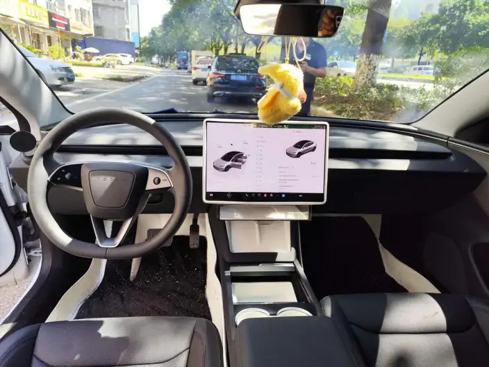 Model 3 2025 Model Rear-wheel drive version – фото 7