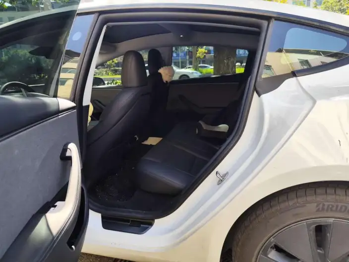 Model 3 2025 Model Rear-wheel drive version – фото 9