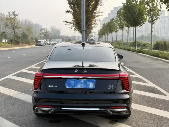 Hongqi H5 2025 Model 2.0T Automatic Flag Enjoy Edition – фото 5
