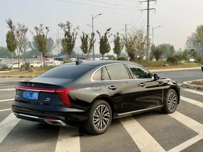 Hongqi H5 2025 Model 2.0T Automatic Flag Enjoy Edition – фото 6