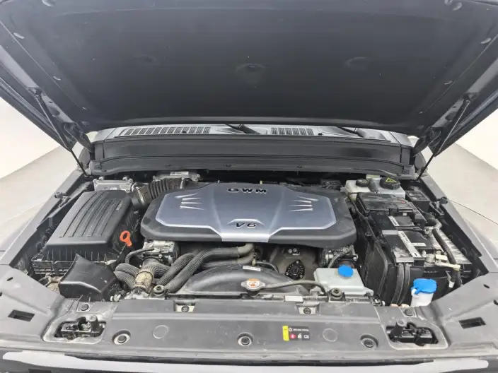 Tank 300 2024 Model 330 3.0T V6 – фото 10