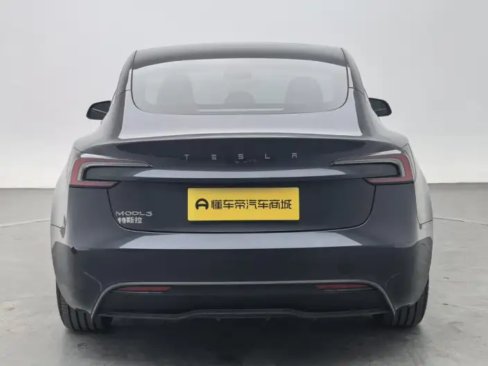 Model 3 2023 Model Rear-wheel drive version – фото 6