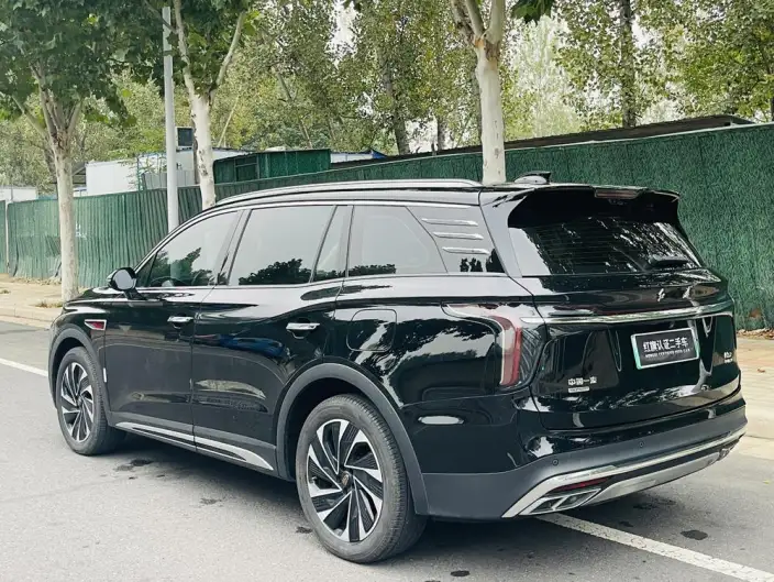 Hongqi HS7 PHEV 2024 Model 2.0T 4WD Flag Enjoy Edition 6 seat – фото 5