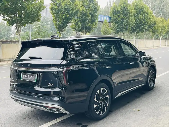 Hongqi HS7 PHEV 2024 Model 2.0T 4WD Flag Enjoy Edition 6 seat – фото 7