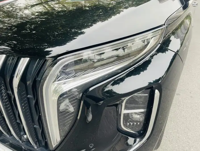 Hongqi HS7 PHEV 2024 Model 2.0T 4WD Flag Enjoy Edition 6 seat – фото 9