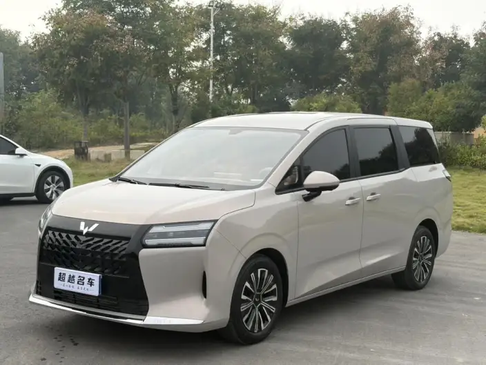 Xingguang 730 2025 Model 1.5T CVT Elite Model