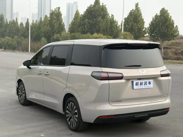 Xingguang 730 2025 Model 1.5T CVT Elite Model – фото 5