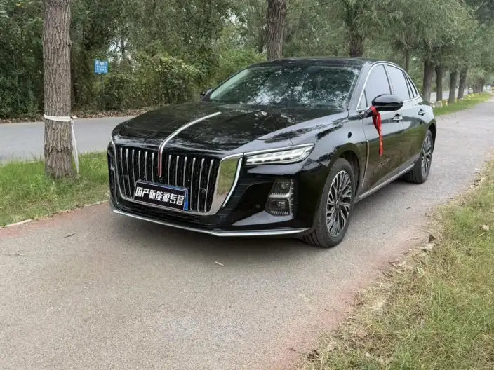 Hongqi H5 2025 Model 2.0T Automatic Flag Enjoy Edition – фото 1