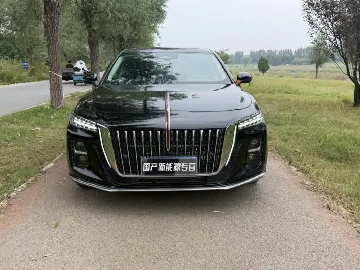 Hongqi H5 2025 Model 2.0T Automatic Flag Enjoy Edition – фото 2