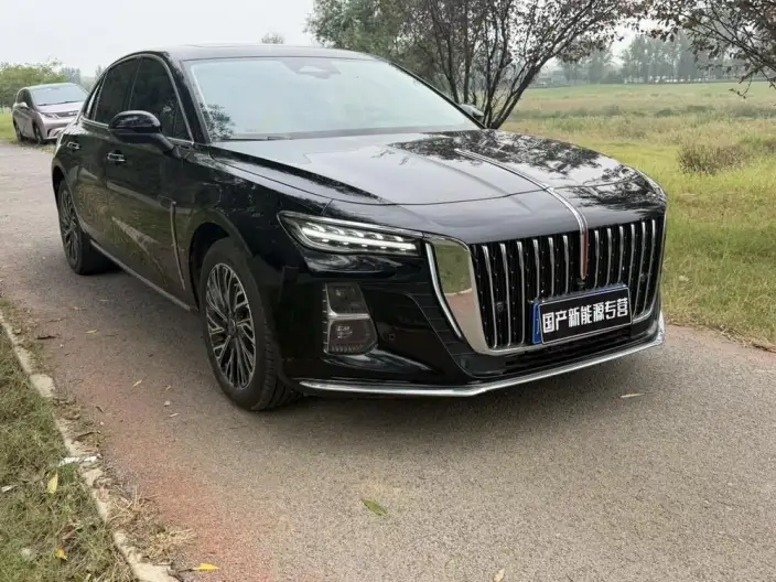 Hongqi H5 2025 Model 2.0T Automatic Flag Enjoy Edition – фото 3