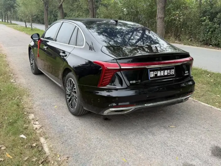 Hongqi H5 2025 Model 2.0T Automatic Flag Enjoy Edition – фото 4