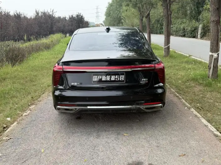 Hongqi H5 2025 Model 2.0T Automatic Flag Enjoy Edition – фото 5