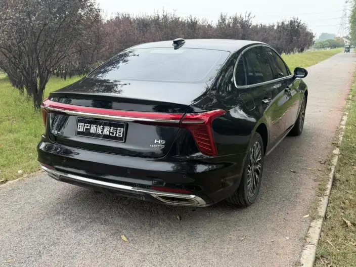 Hongqi H5 2025 Model 2.0T Automatic Flag Enjoy Edition – фото 6