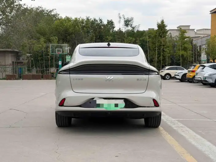 IM LS6 2023 Model Max Standard Edition – фото 5