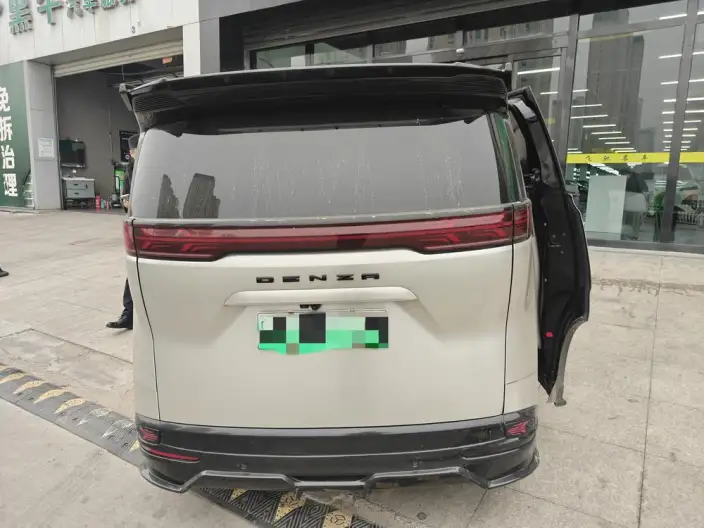 DENZA D9 DM 2022 Model 1040 Noble Model – фото 5