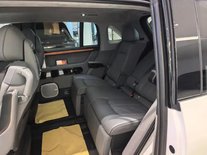 ZEEKR MIX 2025 Model 76kWh Smart Driving Edition – фото 9