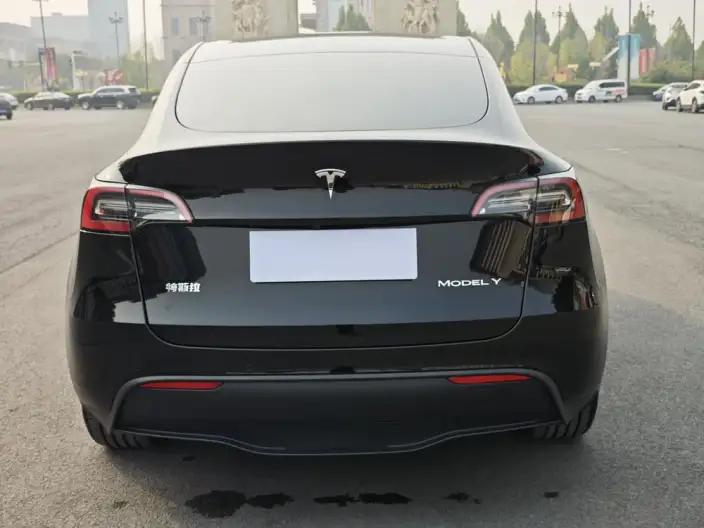 Model Y 2022 Model Facelift Rear-wheel drive version – фото 6