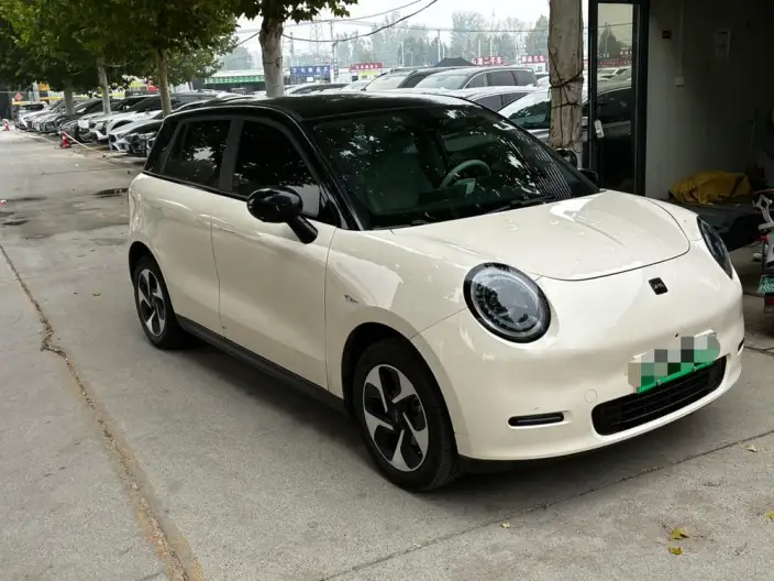 JAC Yiwei 3 2024 Model Zhiai Edition 405km Air – фото 3