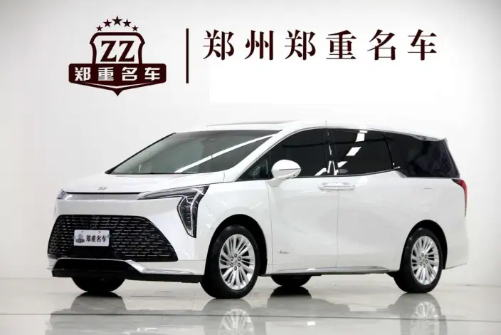 Century 2023 Model 2.0T VII seat Yunshi Edition
