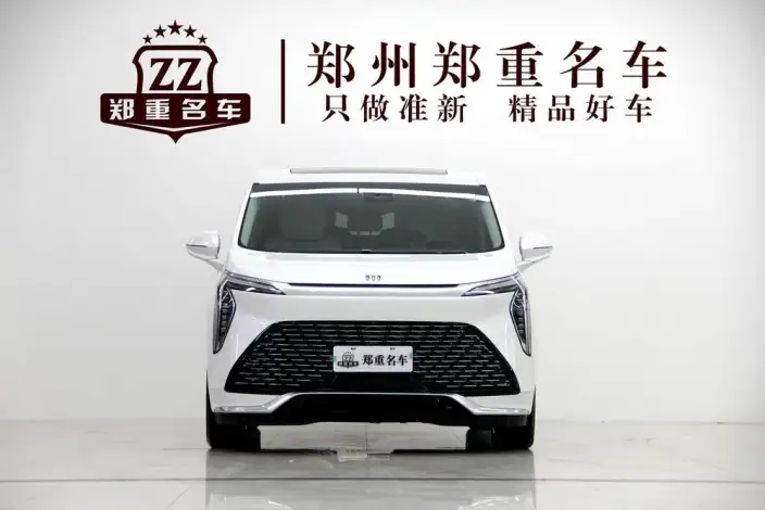 Century 2023 Model 2.0T VII seat Yunshi Edition