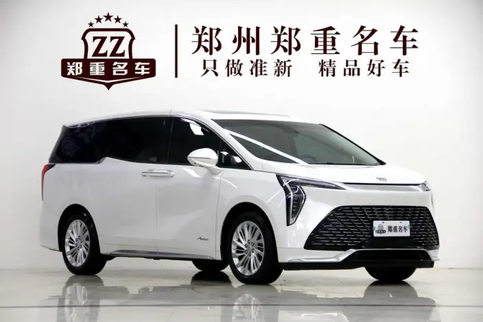 Century 2023 Model 2.0T VII seat Yunshi Edition