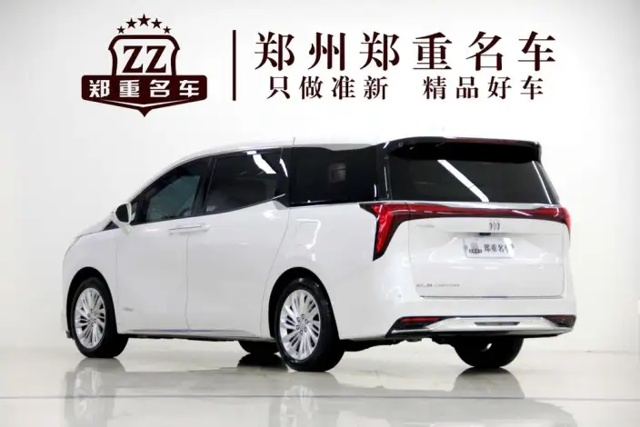 Century 2023 Model 2.0T VII seat Yunshi Edition
