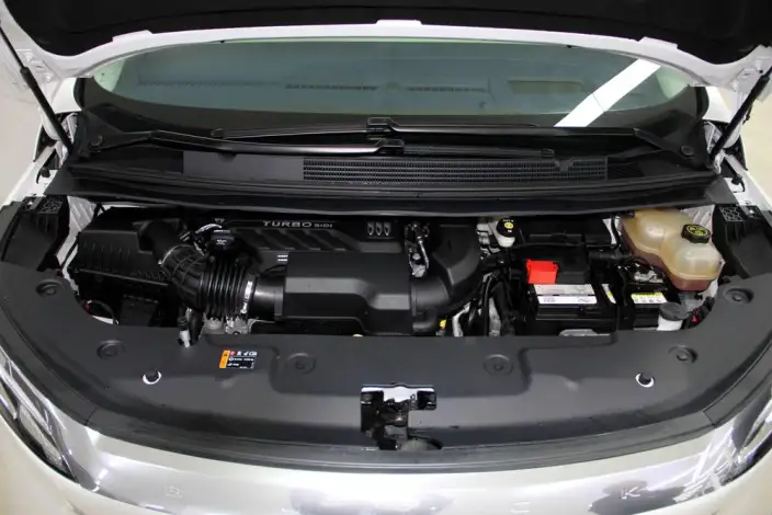 Century 2023 Model 2.0T VII seat Yunshi Edition – фото 6