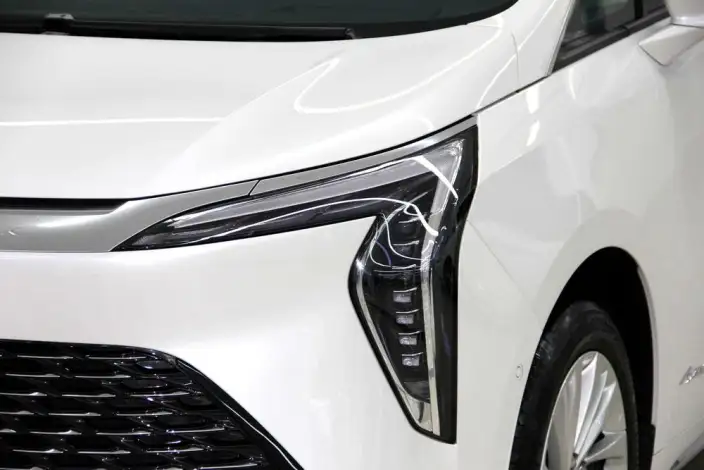 Century 2023 Model 2.0T VII seat Yunshi Edition – фото 8