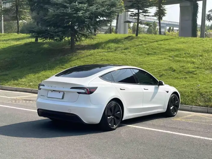 Model 3 2023 Model Rear-wheel drive version – фото 6