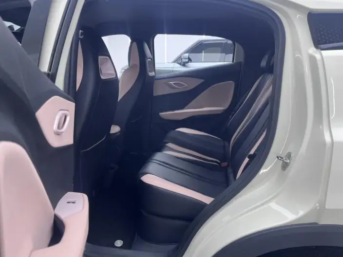 BYD Seagull 2023 Model Vitality Edition – фото 10