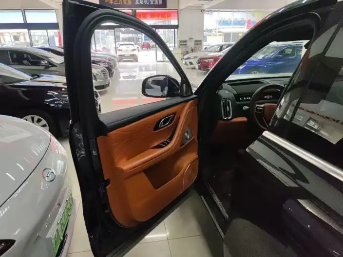 Geely M9 2025 Model 210km 4WD Pilot Edition – фото 9