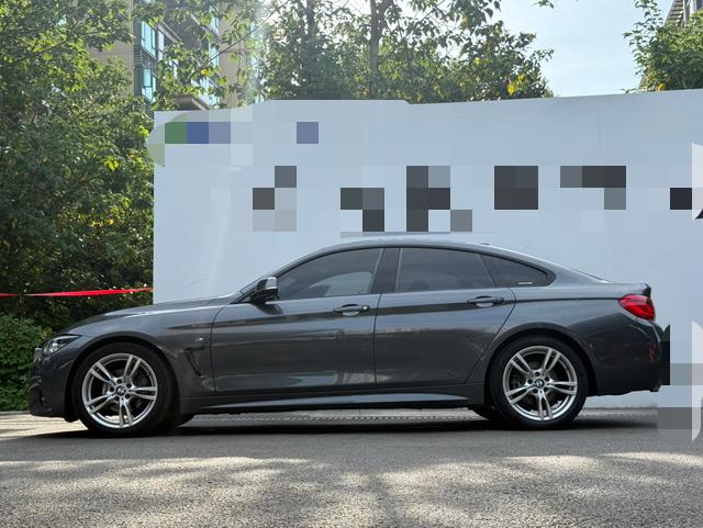 BMW 4 Series 2017 модификация 425i Gran Coupe Exclusive M Sports Set – фото 4