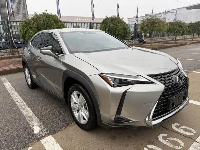 Lexus UX 2022 Model 260h Tan · Cool Edition