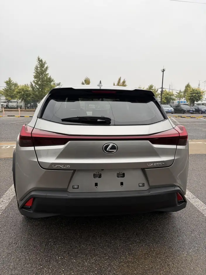Lexus UX 2022 Model 260h Tan · Cool Edition – фото 5