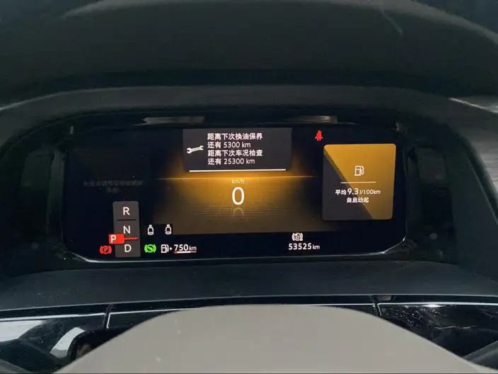 Viloran 2022 Model 330TSI Deluxe Edition – фото 6