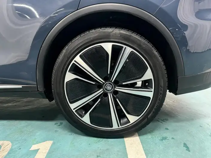 BYD Tang DM 2022 Model DM-p 215KM 4WD Flagship Model – фото 9