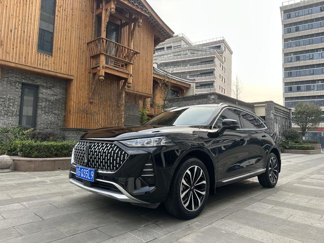 Mocha Модель 2021 года 2.0T 2WD Strong Edition – фото 1