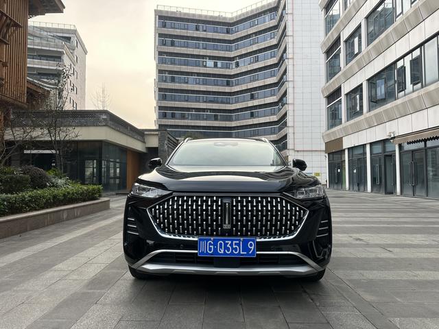 Mocha Модель 2021 года 2.0T 2WD Strong Edition – фото 2
