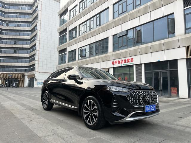 Mocha Модель 2021 года 2.0T 2WD Strong Edition – фото 3