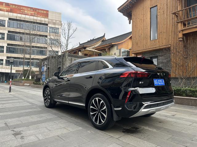 Mocha Модель 2021 года 2.0T 2WD Strong Edition – фото 7