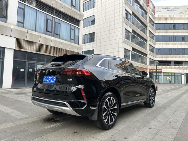 Mocha Модель 2021 года 2.0T 2WD Strong Edition – фото 9