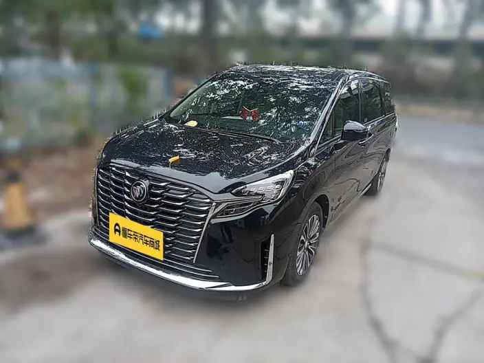 Buick GL8 2023 Model ES Luzun 2.0T Luxury Model Heyue Edition – фото 1