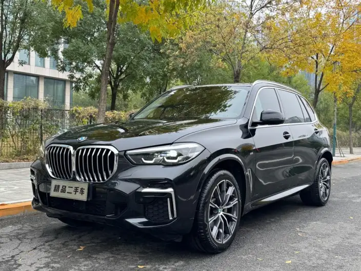 BMW X5 2022 Model xDrive 30Li M Sports Set