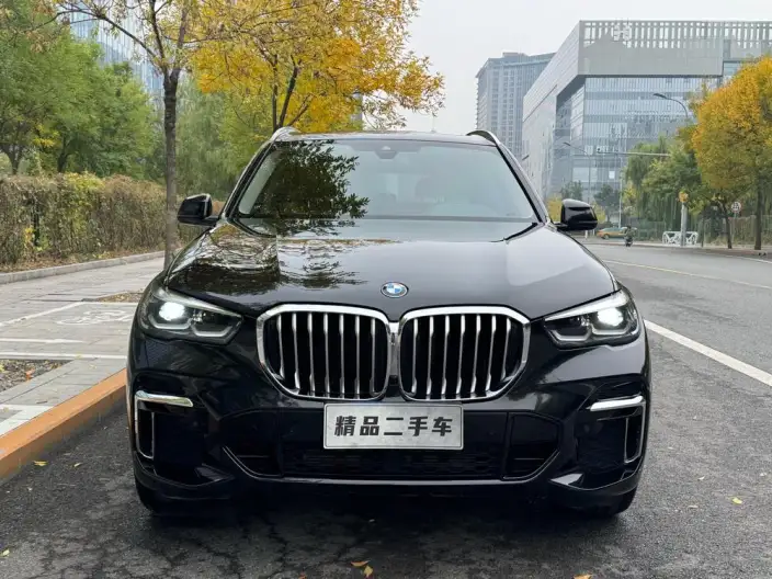 BMW X5 2022 Model xDrive 30Li M Sports Set