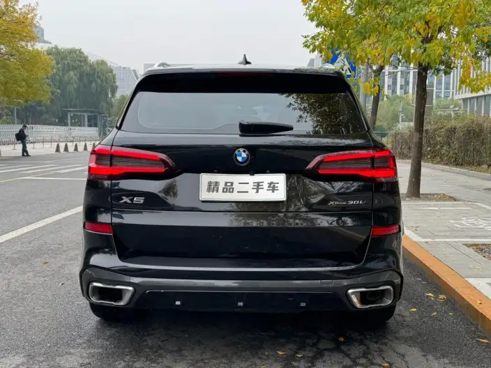 BMW X5 2022 Model xDrive 30Li M Sports Set – фото 6