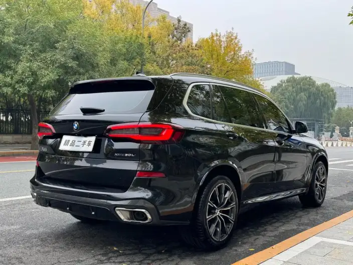 BMW X5 2022 Model xDrive 30Li M Sports Set – фото 7