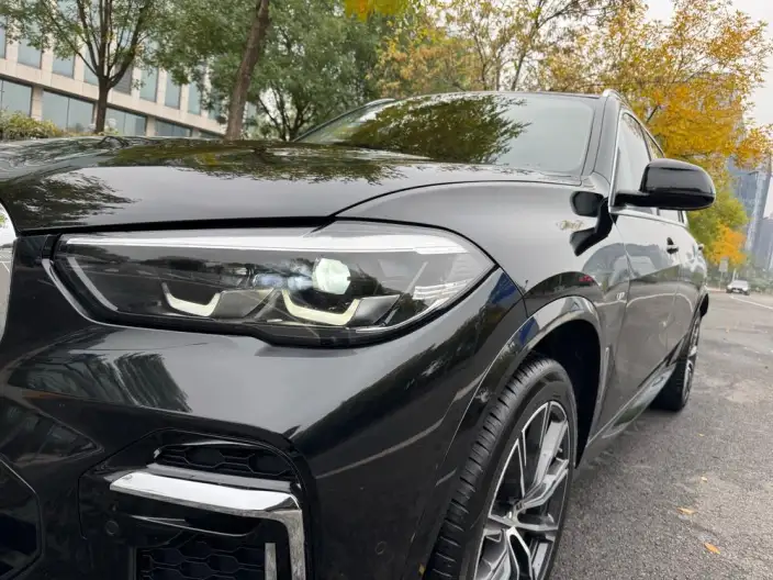 BMW X5 2022 Model xDrive 30Li M Sports Set – фото 10